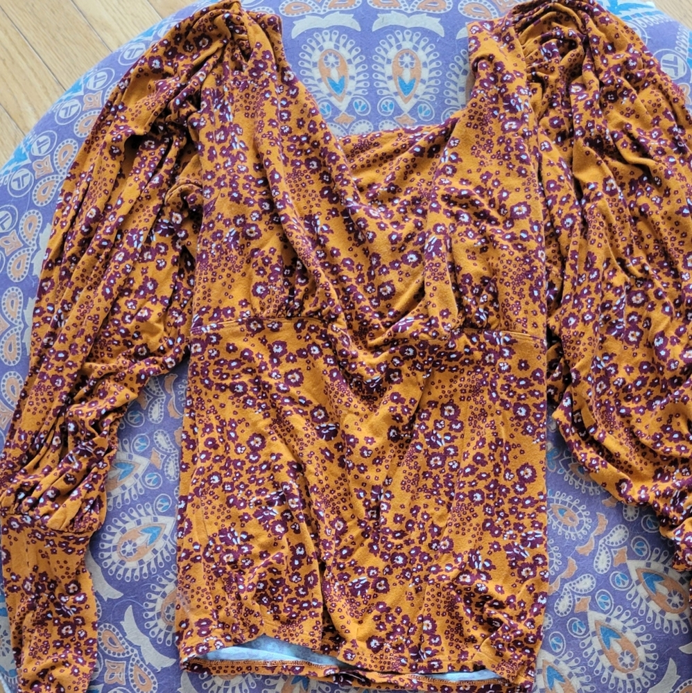Free people puff sleeve top